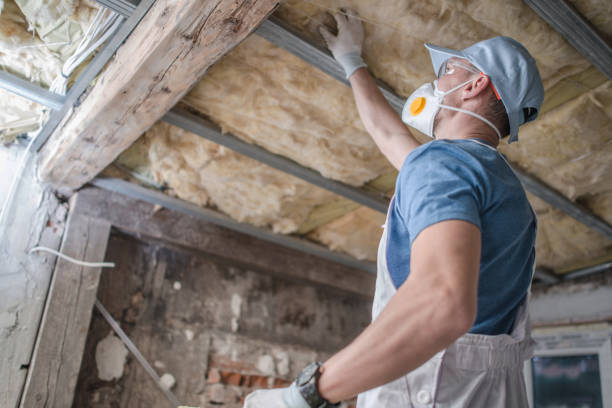 Best Insulation for Specific Applications in Clover Creek, WA