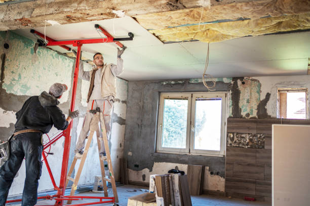 Best Eco-Friendly Insulation in Clover Creek, WA